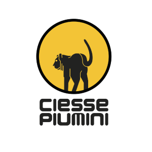 CIESSE PIUMI（チェッセピュ―ミニ）